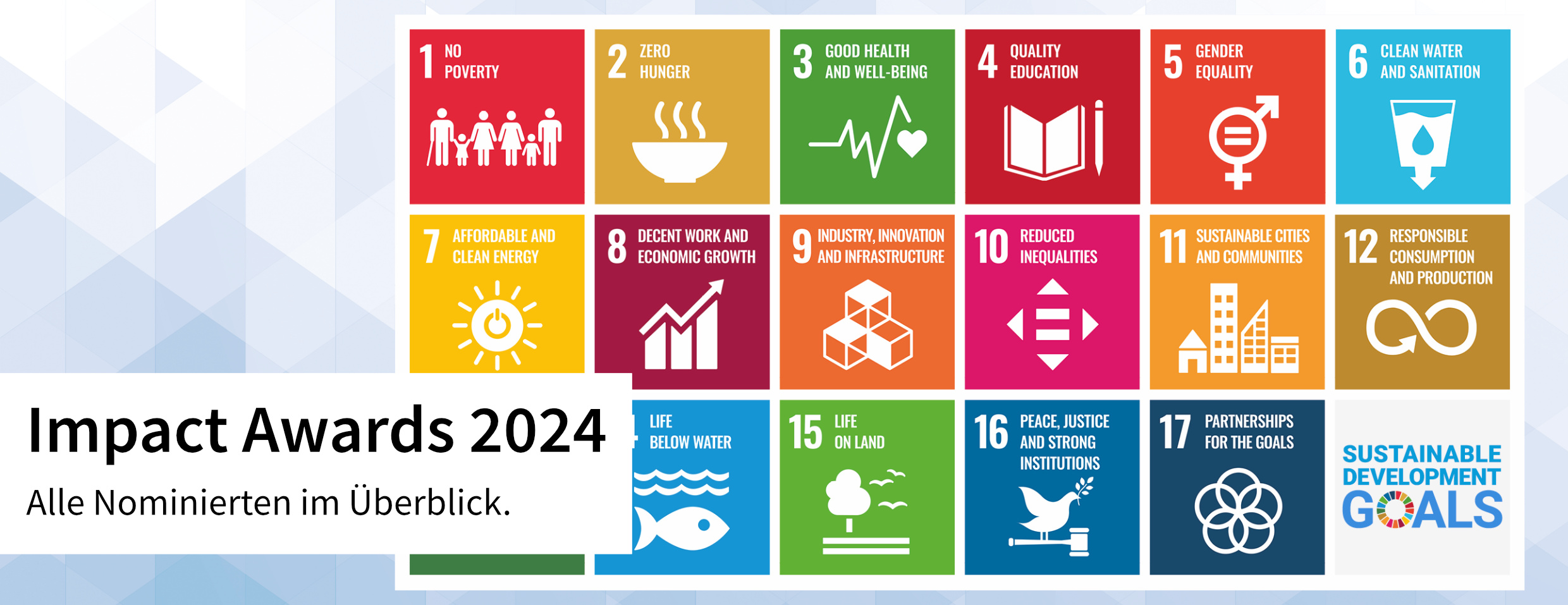 SDG Impact Awards 2024_DE