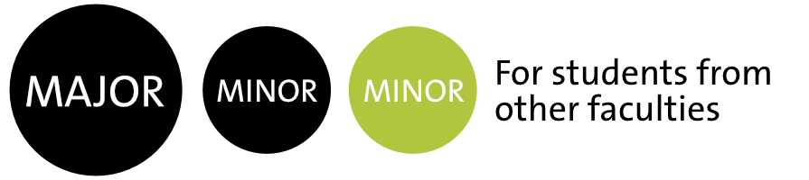 Major Minor other