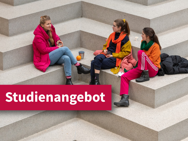 Studienangebot
